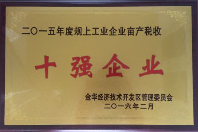 Top ten enterprises